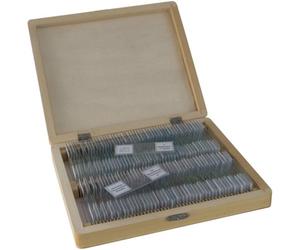 Bresser Microscope preparaten 100 pcs
