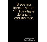 Breve ma intensa vita di Til Tuesday e della sua cadillac rosa...
