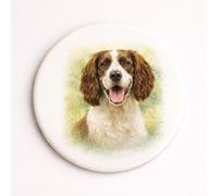 Brew Crew Gifts Springer Spaniel Meadow Coaster, Glossy Ceramic with Cork Backing, 10.7cm, Watercolor Portrait Design