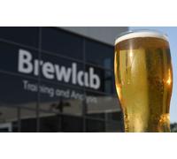 Brewery Tour: Beer Tasting and Cheese Pairing Experience for One Person