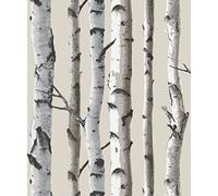 Brewster FD31051 Birch Tree Wallpaper - Natural