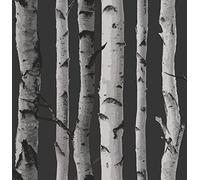 Brewster FD31052 Birch Tree Wallpaper - Black