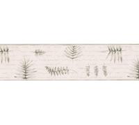 Brewster Home Fashions 418B095 Borders and More Fern Script Wall Border, 6.825-Inch by 180-Inch