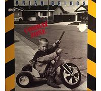 Brian Briggs - Combat Zone