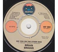 Brian Briggs - See You On The Other Side