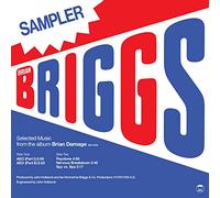 Brian Briggs - Selected Music From The Album Brian Damage [VINYL]