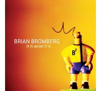 Brian Bromberg - It Is What It Is