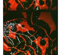 BRIAN ENO - NERVE NET - Vinyl Record - N3z