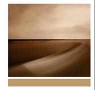 Brian Eno Small Craft On a Milk Sea (Vinyl) 12" Album (US IMPORT)