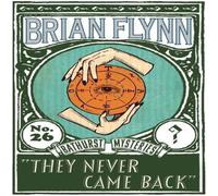 Brian Flynn They Never Came Back: An Anthony Bathurst Mystery Paperback Book Brian Flynn Multicolor