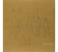 Brian Jonestown Massacre - Aufheben [VINYL]