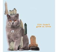 Brian Jonestown Massacre - Fire Doesn’t Grow On Trees