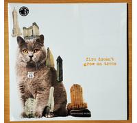 BRIAN JONESTOWN MASSACRE LP Fires Doesn't Grow On Trees 180 Gram IN STOCK NOW