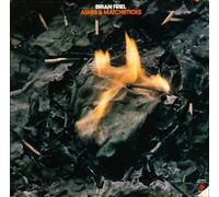 Brian Joseph Friel: Ashes & Matchsticks LP