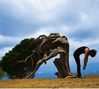 Brian May - Another World [Standard CD inc. 16-page booklet]