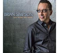 Brian Simpson - Just What You Need