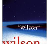 Brian Wilson - Imagination