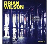 Brian Wilson - No Pier Pressure [VINYL]