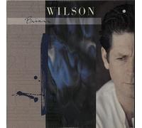 BRIAN WILSON - S/T LP (VINYL ALBUM) GERMAN SIRE 1988