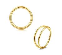 Briana Williams 2pcs Hinged Nose Ring Segment Lip Helix Septum Tragus Helix Rook Earrings Piercing 18G 10mm Gold Clicker