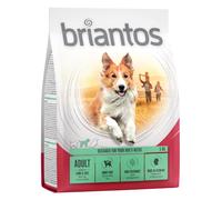Briantos Adult Lamb & Rice - 1kg