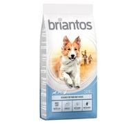 Briantos Adult Light - 14kg