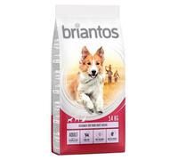 Briantos Adult Salmon & Rice - Economy Pack: 2 x 14kg