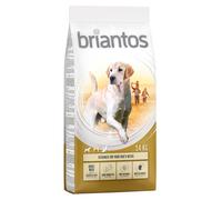 Briantos Maxi Adult - Economy Pack: 2 x 14kg