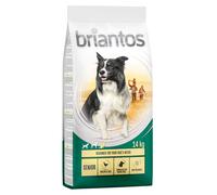 Briantos Senior with Poultry & Rice - Economy Pack: 2 x 14kg