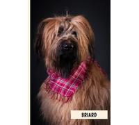 Briard: Composition Notebook For Briard Dogs Lovers , Briard Lined Journal ,6x9 Inches , 110 Pages ,Briard Diary