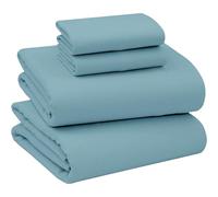 Briarwood Home 100% Cotton Flannel Sheet Set - 4 Piece Lightweight Brushed Turkish Bedding - Super Soft, Warm, Cozy, Deep Pocket & Breathable All Season Sheets & Pillow Set (Queen, Baby Blue)