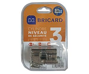Bricard 11734 Astril 2.9 5 Keys Release Cylinder Made Brass, 10 Pistons, 2 inputs, Protection Against Drilling and Picking. Personal Card, Nickel-Plated Steel, 70 = 30+40