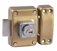 Bricard 1957 Alpha 2 Entry Cylinder Lock 45 mm Diameter 22 mm Gold