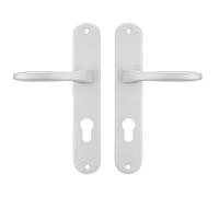 Bricard 723071 Pair of Aluminium Handles on Antibes Plate, Front Door