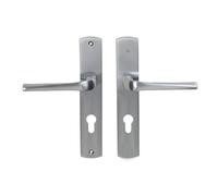 Bricard 879051 Pair of Handles Satin Chrome Zamack on Evidence Plate, Front Door