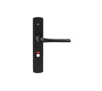 Bricard 879087 Pair of Handles Matte Black Zamack on Plate Evidence Toilet Door