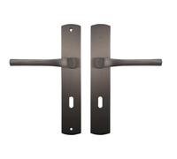 Bricard 8790T0 Pair of Handles Titanium zamack on Evidence Plate, Interior Door