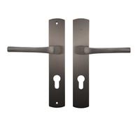 Bricard 8790T1 Pair of Handles Titanium zamack on Evidence Plate, Front Door