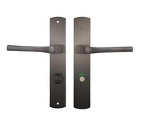 Bricard 8790T7 Pair of Handles Titanium zamack on Plate Evidence, Toilet Door
