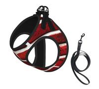 Brick Red Stone Print Step in Dog Harness and Leash Set,Adjustable Reflective Harness for Small Dogs Cats