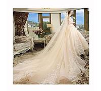 Bridal Wedding Veils Bridal Veils Champagne with Comb Long Short Tulle Wedding Veils Cathedral Accessories Gorgeous Bridal Tulle (Color : 1 T 4m)