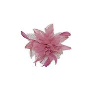 Bride Boutique Wedding Races Prom Feather & Net Flower Design Hair Comb Fascinator (Dusky Pink)