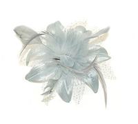 Bride Boutique Wedding Races Prom Feather & Net Flower Design Hair Comb Fascinator (Silver Grey)