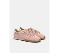 HOFF Bridge Rose, pink, 6 UK