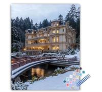 Bridge Paint by Numbers for Adults Architecture Paint by Numbers Kits, DIY Craft Art Painting Kit Gifts Hobbies for Adults Women, with Brushes Acrylic Pigment for Home Decor 40x50cm Frameless uk1-333