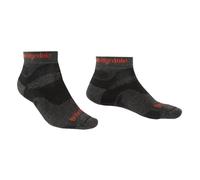 Bridgedale Hike Midweight Performance Ankle Socks