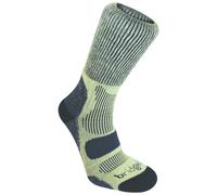 Bridgedale 710510 HIKE Lightweight Cotton Colour: 464, Size: XL