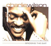 Bridging The Gap by A&m/Geffen/Interscope