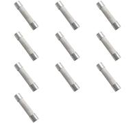 Bridgold 10pcs 10A Multimeter Fuse Quick Blow 6.3 * 32mm Brass Ceramic Fuse,600V for DMM. (10A)
