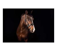 Bridle bit for horse Mrs. Ros Deluxe